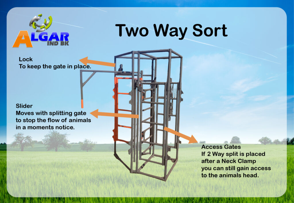 Algar - Cattle 2 Way Sort. A useful tool to assist in animal management to split your animals in to two different groups