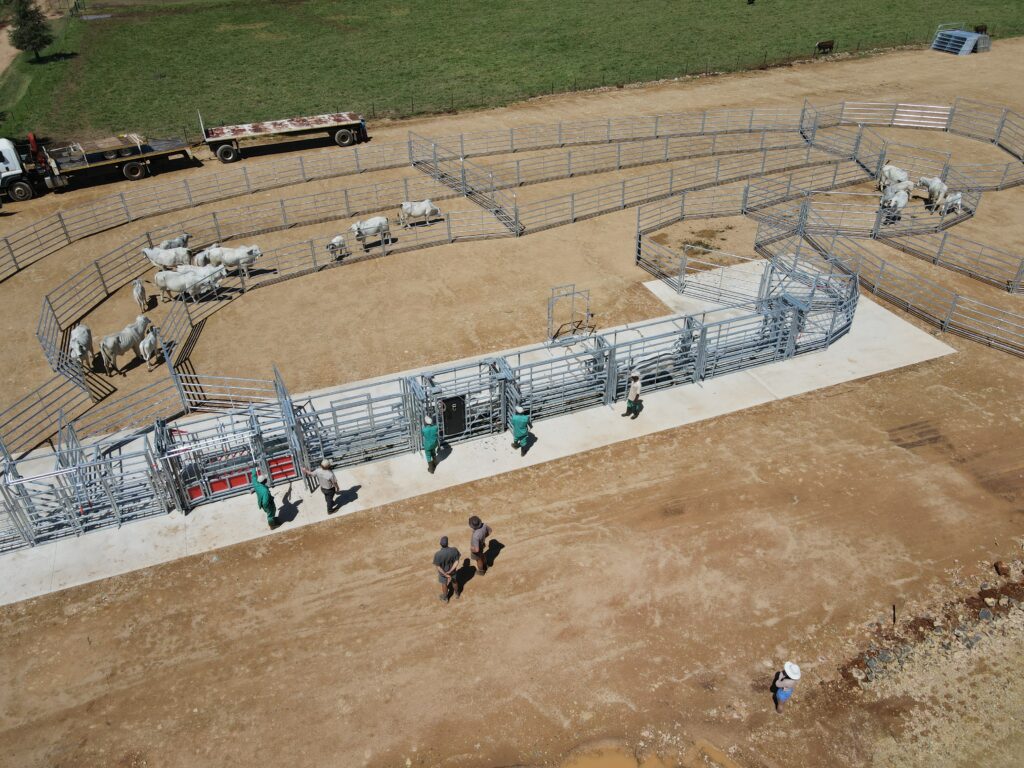 Complete permanently fixed cattle handling kraal manufactured by Algar, available in galvanized or painted steel. Volledige permanent geïnstalleerde beeskrale vervaardig deur Algar, beskikbaar in gegalvaniseerde of geverfde staal.